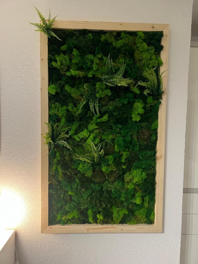 Appartement Bergwaerts Rickenbach  Exteriör bild