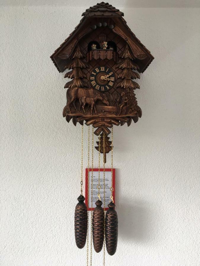 Appartement Bergwaerts Rickenbach  Exteriör bild