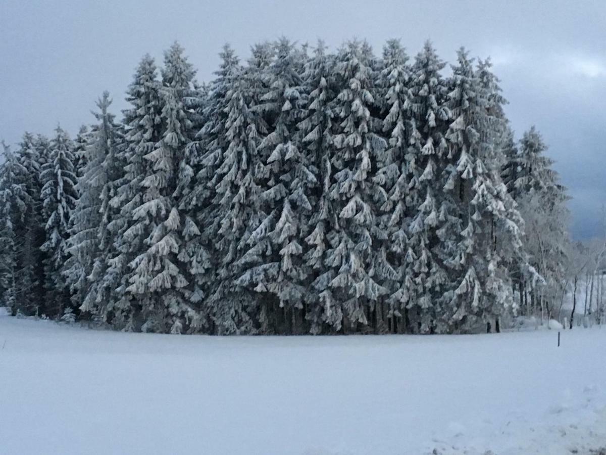 Appartement Bergwaerts Rickenbach  Exteriör bild